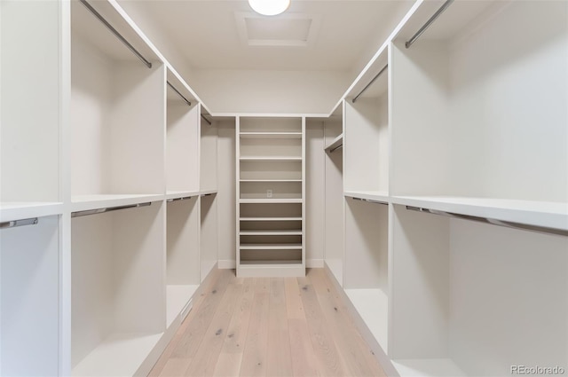 spacious closet featuring light wood-type flooring