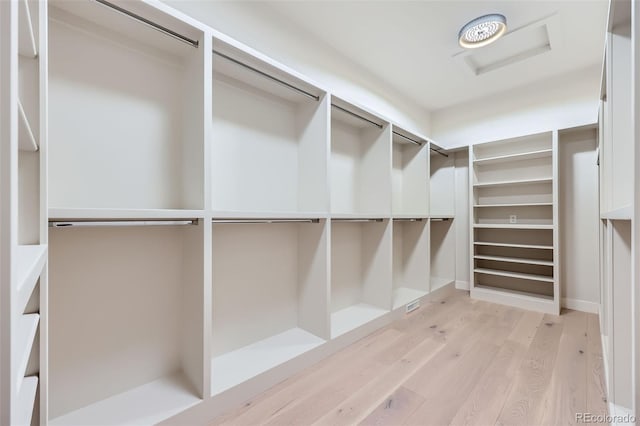 5820 Powell Rd, Parker, CO 80134 - walk in closet with attic access and light wood-type flooring