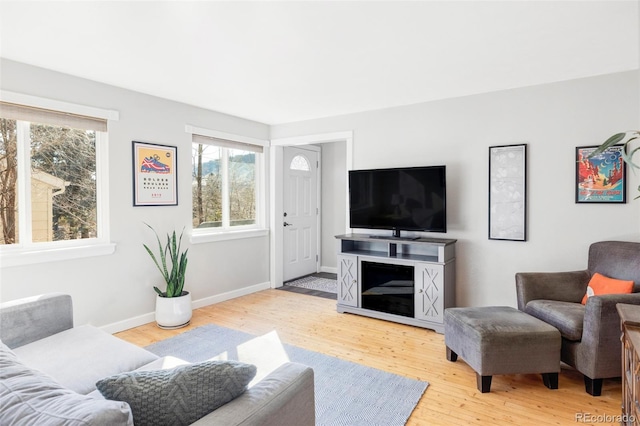 living room featuring light wood-type flooring