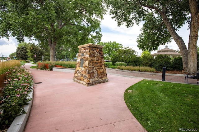 21829 Longs Peak Ln, Parker, CO 80138 - photo 34