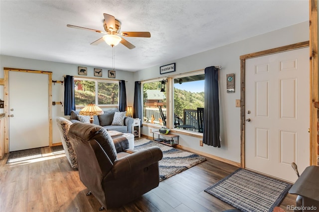 434 Caddo Rd, Red Feather Lakes, CO 80545 - photo 10