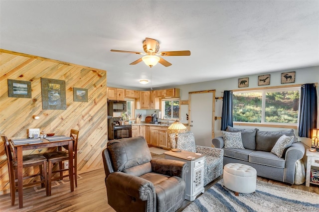 434 Caddo Rd, Red Feather Lakes, CO 80545 - photo 15