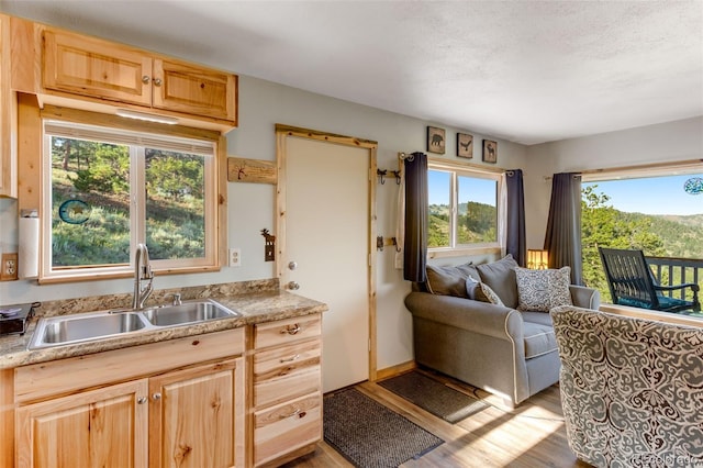 434 Caddo Rd, Red Feather Lakes, CO 80545 - photo 16