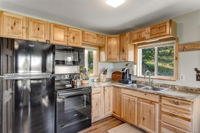 434 Caddo Rd, Red Feather Lakes, CO 80545 - photo 17