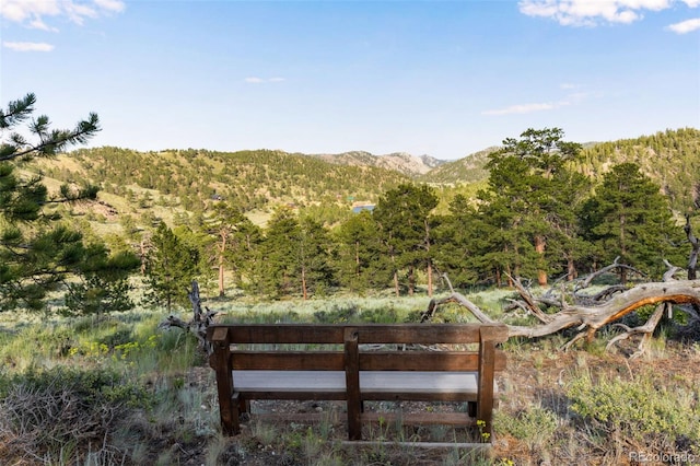 434 Caddo Rd, Red Feather Lakes, CO 80545 - photo 29