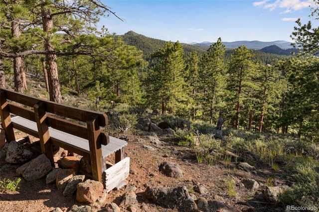 434 Caddo Rd, Red Feather Lakes, CO 80545 - photo 30