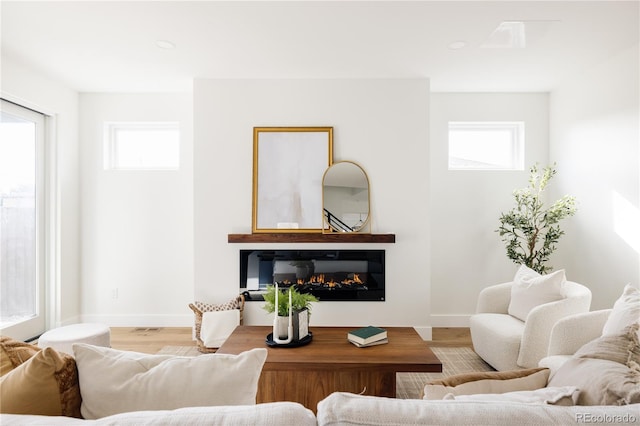 living room with hardwood / wood-style flooring