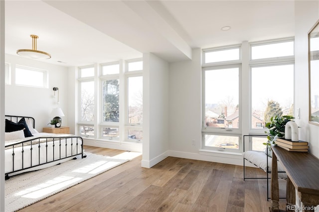 bedroom with multiple windows and light wood-type flooring