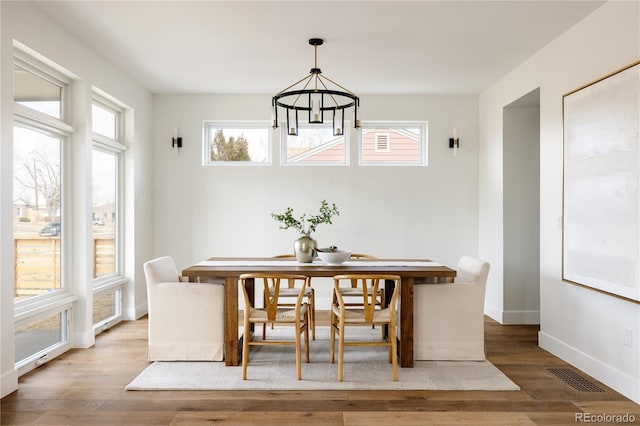 dining room featuring wood-type flooring and a wealth of natural light