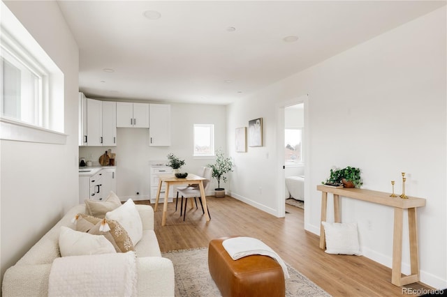 living room with light hardwood / wood-style flooring