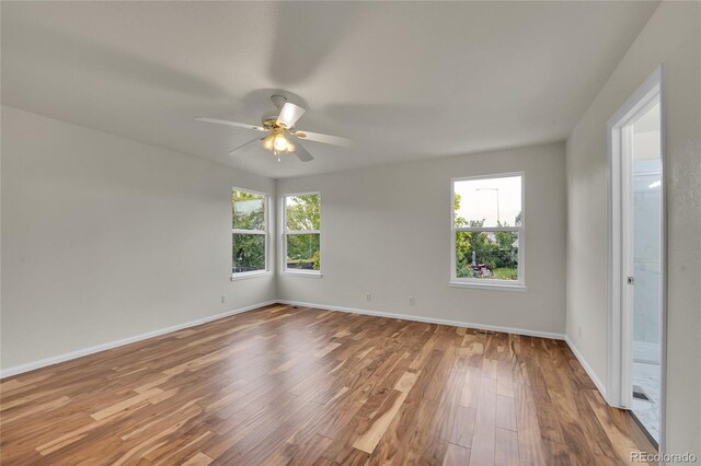 11091 Clayton St, Northglenn, CO 80233 - unfurnished room featuring ceiling fan and wood finished floors