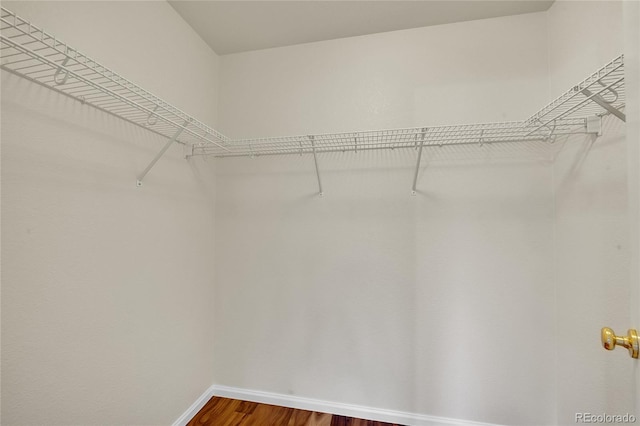 11091 Clayton St, Northglenn, CO 80233 - walk in closet with wood finished floors