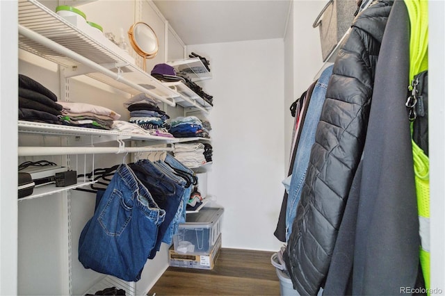 walk in closet with wood finished floors