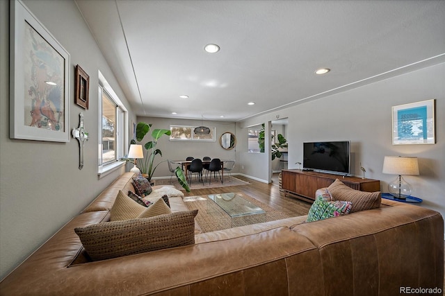 living room featuring hardwood / wood-style floors