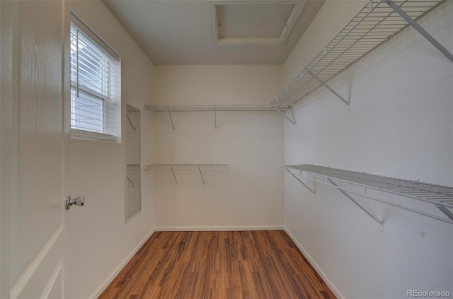 19249 E 58th Ave Unit D, Denver, CO 80249 - spacious closet with dark wood-style floors and attic access
