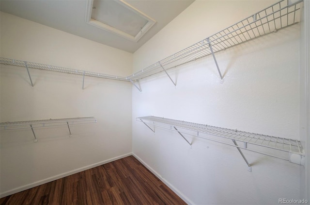 19249 E 58th Ave Unit D, Denver, CO 80249 - spacious closet with attic access and dark wood-style flooring