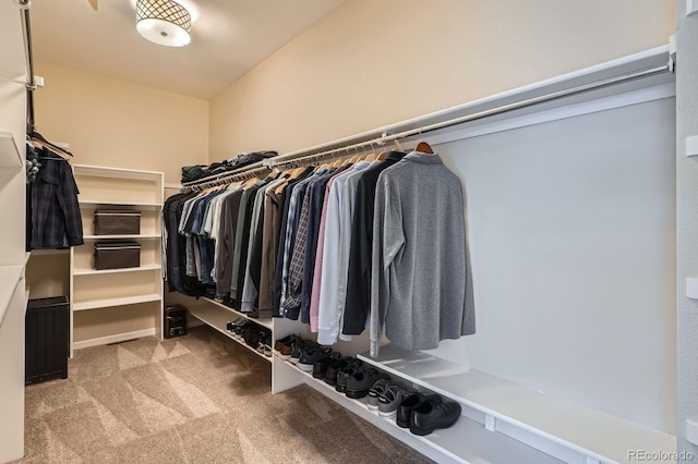 5461 S Youngfield Ct, Littleton, CO 80127 - spacious closet with carpet
