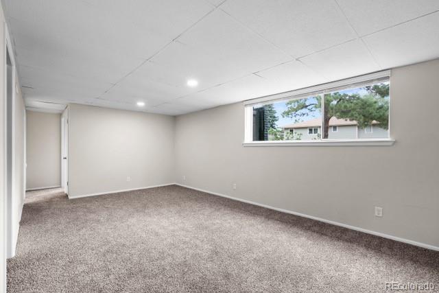 unfurnished room featuring carpet