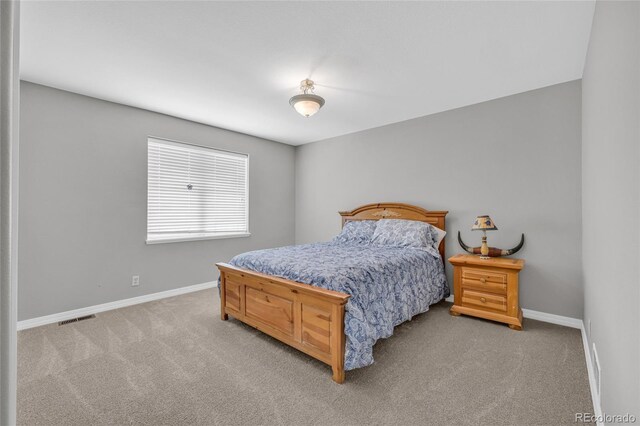 369 S Bonnie Ln, Watkins, CO 80137 - photo 21