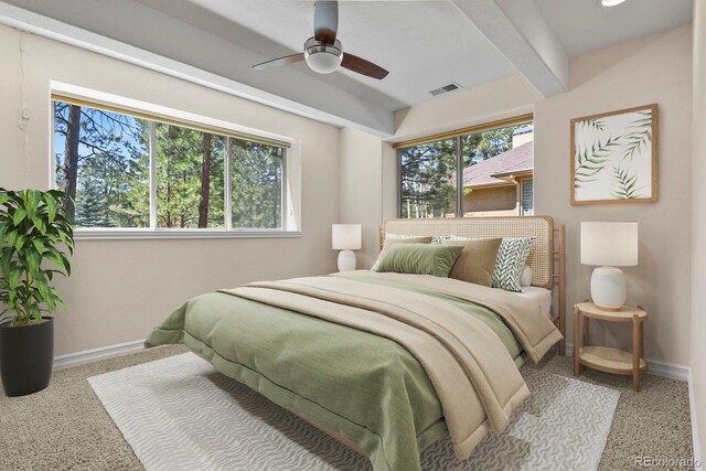 670 Independence Dr, Larkspur, CO 80118 - photo 38