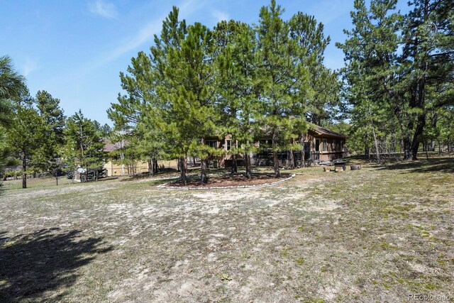 670 Independence Dr, Larkspur, CO 80118 - photo 45