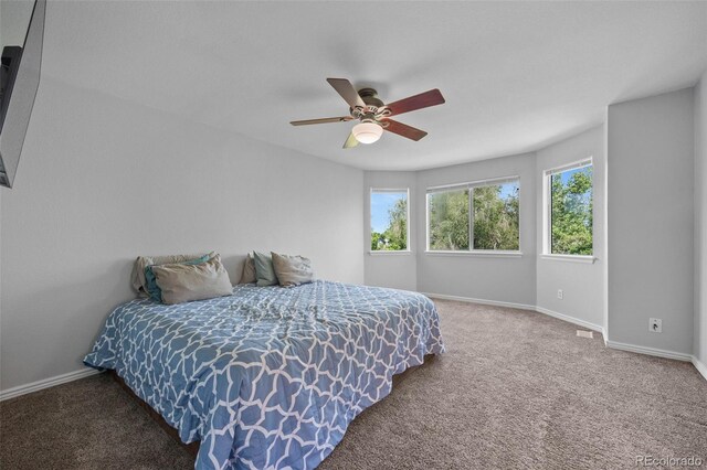 1716 W Sunset St, Longmont, CO 80501 - photo 10