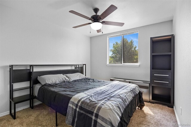 1716 W Sunset St, Longmont, CO 80501 - photo 15