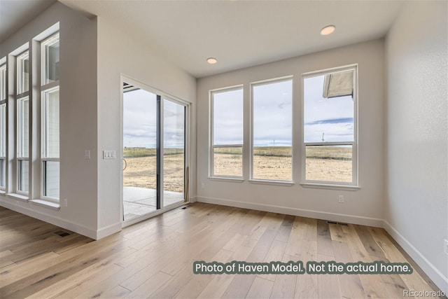 empty room featuring light hardwood / wood-style flooring and plenty of natural light