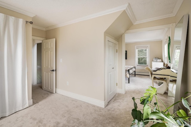 4641 Pierce St, Wheat Ridge, CO 80033 - photo 21