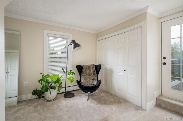 4641 Pierce St, Wheat Ridge, CO 80033 - photo 22