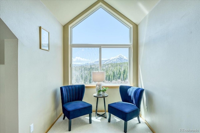 81 Cydney Ln Unit A, Silverthorne, CO 80498 - photo 17