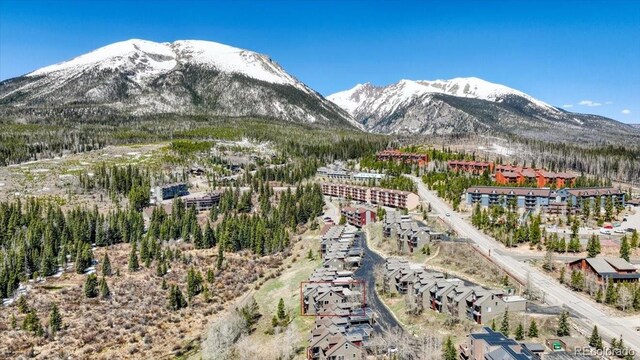 81 Cydney Ln Unit A, Silverthorne, CO 80498 - photo 29