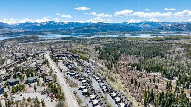 81 Cydney Ln Unit A, Silverthorne, CO 80498 - photo 30