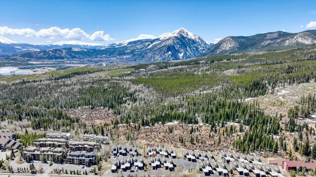 81 Cydney Ln Unit A, Silverthorne, CO 80498 - photo 31