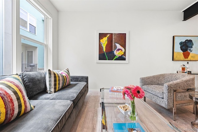 living room featuring baseboards and wood finished floors