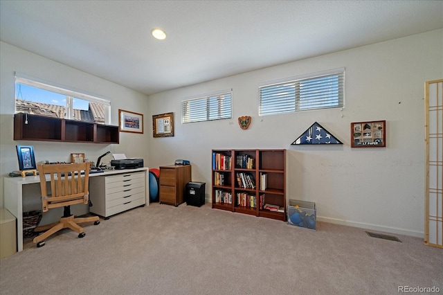 office space featuring light colored carpet