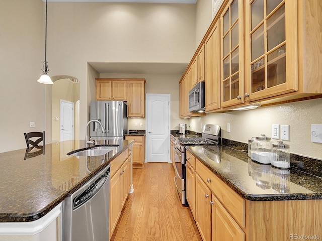 9246 Sori Ln, Highlands Ranch, CO 80126 - kitchen with stainless steel appliances, a sink, light wood-style floors, an island with sink, and a towering ceiling