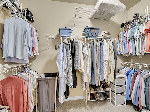 9246 Sori Ln, Highlands Ranch, CO 80126 - walk in closet with carpet floors