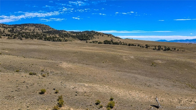 2163 Hardwood Loop, Hartsel, CO 80449 - photo 38
