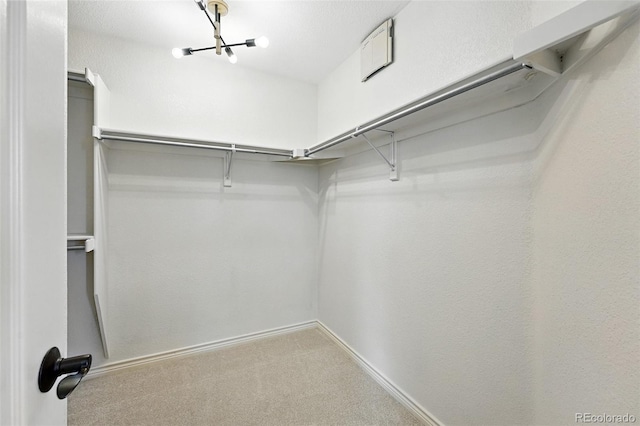 2832 Danbury Ave, Highlands Ranch, CO 80126 - walk in closet featuring carpet flooring and a chandelier