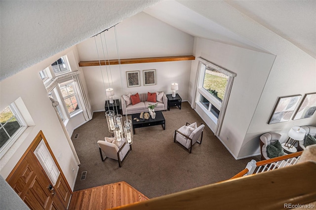 8825 Fairview Oaks Pl, Lone Tree, CO 80124 - carpeted living area with high vaulted ceiling