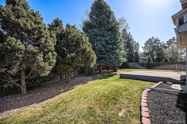 8825 Fairview Oaks Pl, Lone Tree, CO 80124 - fenced backyard featuring a patio area