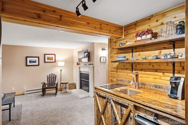 carpeted dining space featuring wood walls, baseboard heating, a tile fireplace, and sink