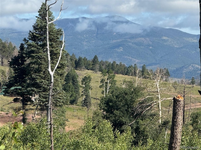 LOT775 Forbes Park Rd, Fort Garland, CO 81133