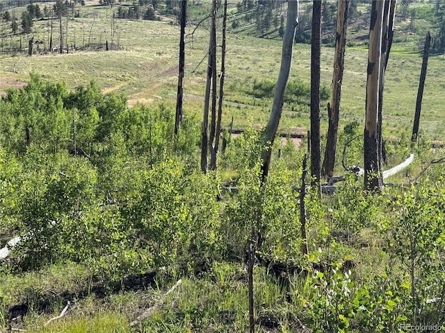 LOT775 Forbes Park Rd, Fort Garland, CO 81133