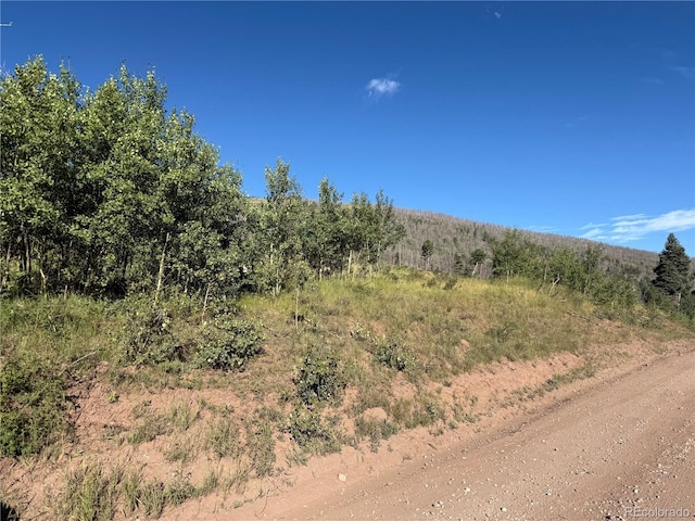 LOT775 Forbes Park Rd, Fort Garland, CO 81133