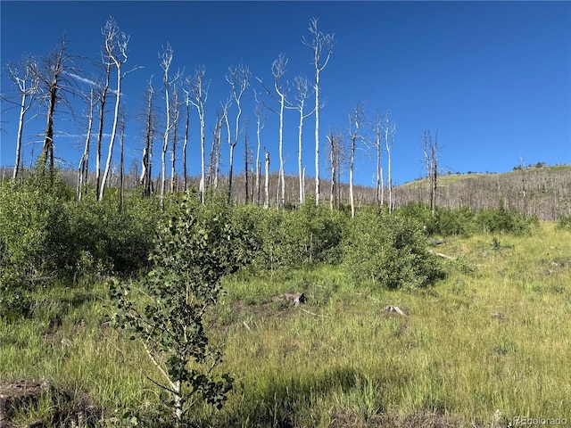 LOT775 Forbes Park Rd, Fort Garland, CO 81133