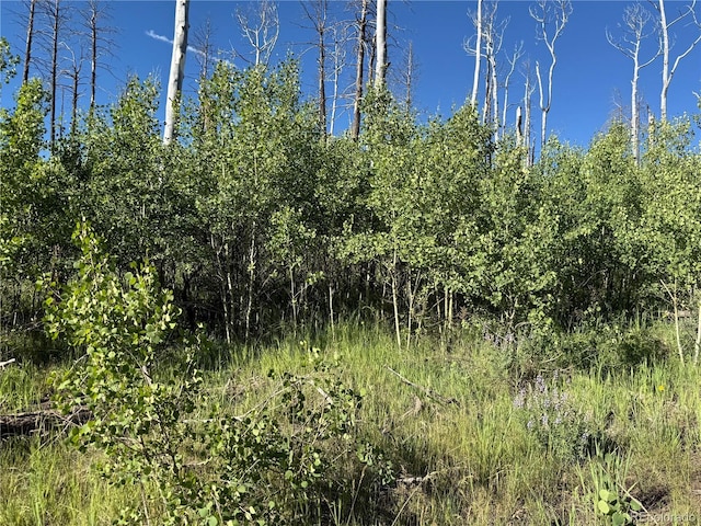 LOT775 Forbes Park Rd, Fort Garland, CO 81133