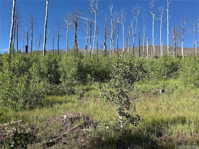 LOT775 Forbes Park Rd, Fort Garland, CO 81133