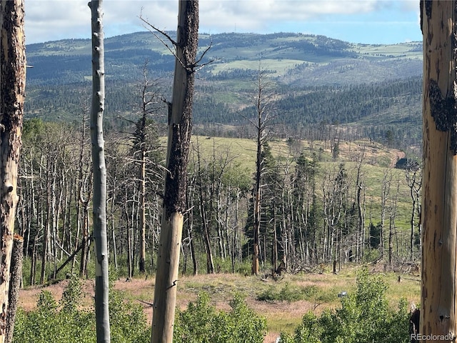 LOT775 Forbes Park Rd, Fort Garland, CO 81133